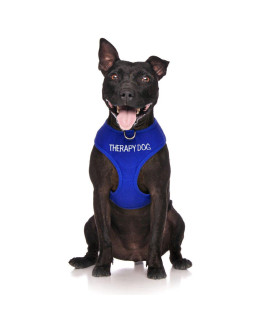 Dexil Limited Therapy Dog Blue Color Coded Non-Pull Front and Back D Ring Padded and Waterproof Vest Dog Harness Prevents Accidents by Warning Others of Your Dog in Advance (L)