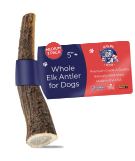 Devil Dog Pet Co Antler Dog Chew - Premium Elk Antlers - Long Lasting Dog Bones for Aggressive Chewers - No Mess No Odor - Wild Shed in The USA - Veteran Owned (Medium)