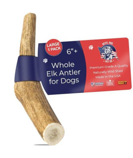 Devil Dog Pet Co Antler Dog Chew - Premium Elk Antlers for Dogs - Long Lasting Dog Bones for Aggressive Chewers - No Mess No Odor - Wild Shed in The USA - Veteran Owned (Large)
