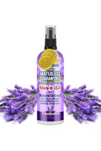 Bodhi Dog Waterless Shampoo Natural Dry Shampoo for Dogs or Cats Neutralizes Pet Odor No Rinse Required Made with Natural Extracts Vet Approved- Made in USA (Lavender, 8 Fl Oz)