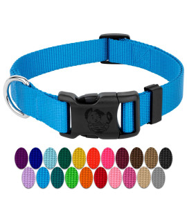 Country Brook Petz - 30+ Vibrant Colors - American Made Deluxe Nylon Dog Collar with Buckle (Large, 1 Inch Wide, Ice Blue)