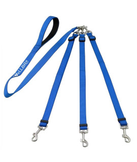 Wellbro 3 in 1 Durable Nylon Dog Leash with Padded Handle, Three- Way Pet Leash with a Coupler, Adjustable and Detachable, Lead for Small, Medium Dogs (Blue)
