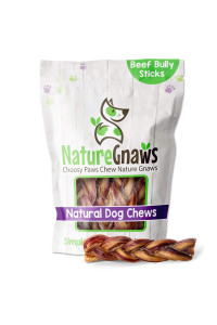 Nature Gnaws Braided Bully Sticks for Dogs - Premium Natural Beef Dental Bones - Long Lasting Dog Chew Treats for Aggressive Chewers - Rawhide Free 10 Count (Pack of 1)