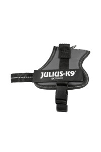 Julius-K9 Powerharness, Mini-Mini, Anthracite gray