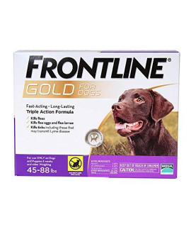 Frontline gold for Dogs 4588 lbs Purple (6 Month)
