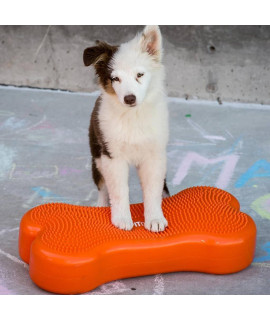 FitPAWSA K9FITbone caninegymA Dog Balance Training Platform - Regular, Orange