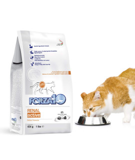 Forza10 Active Kidney Renal Cat Food for Adult Cats, Kidney Cat Food Dry for Heart and Renal Problems, Wild Caught Anchovy Flavor, 1 Pound Bag