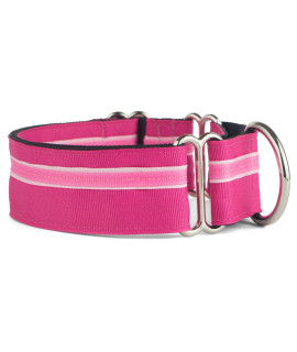 If It Barks - 1.5 Martingale Collar for Dogs - Adjustable - Nylon - Strong and Comfy - Ideal for Training - Made in USA - Medium Bubble Gum