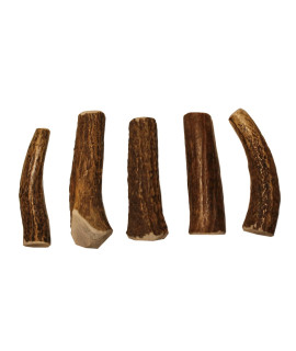 Elkhorn Premium Chews - X Small Whole 5 Pack (for 0-15 lb Dogs and Puppies) Premium Grade Elk Antlers for Dogs (5 Pieces) Sourced in The USA