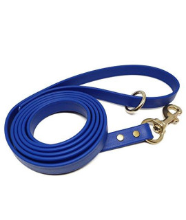 JimHodgesDogTraining gummy Dog Leash, Biothane, Dog Training Leash, Waterproof, Weatherproof, Made in The USA, 6 Foot Length for Small, Medium Large Dogs or Puppies, Various Sizes colors