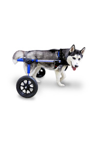 Walkin' Wheels Dog Wheelchair - for Med/Large Dogs 50-69 lbs - Veterinarian Approved - Dog Wheelchair for Back Legs