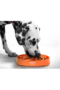 Slow Feed Dog Bowl Slowly Bowly by 2PET. Fun Interactive Dog Dish for Fast Eaters. Prevent Bloating. Fun to Use Dog Bowl. Cat Feeder Friendly. [Skid Protection Upgraded]