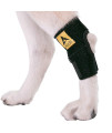 Agon Dog Canine Rear Hock Joint Brace Compression Wrap With Straps Dog For Back Leg Protects Wounds. Heals Prevents Injuries and Sprains Helps with Loss of Stability Caused by Arthritis (Medium)