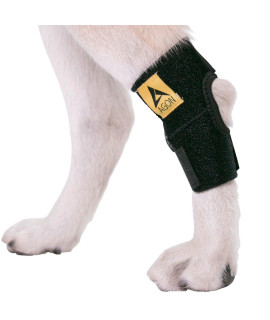 Agon Dog Canine Rear Hock Joint Brace Compression Wrap With Straps Dog For Back Leg Protects Wounds. Heals Prevents Injuries and Sprains Helps with Loss of Stability Caused by Arthritis (Medium)
