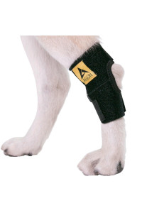 Agon Dog Canine Rear Hock Joint Brace Compression Wrap With Straps Dog For Back Leg Protects Wounds. Heals Prevents Injuries and Sprains Helps with Loss of Stability Caused by Arthritis (X-Large)