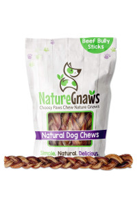 Nature Gnaws Braided Bully Sticks for Dogs - Premium Natural Beef Dental Bones - Long Lasting Dog Chew Treats for Aggressive Chewers - Rawhide Free 5 Count