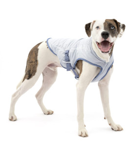 Kurgo Core Cooling Vest for Dogs, Dog Cooling Jacket, Evaporation Cooler Coat for Pets, Reflective Material, Adjustable Straps, Leash Attachment Opening, ICY/Storm Blue, Medium