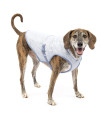 Kurgo Core Cooling Vest for Dogs, Dog Cooling Jacket, Evaporation Cooler Coat for Pets, Reflective Material, Adjustable Straps, Leash Attachment Opening, ICY/Storm Blue, Large