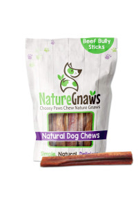 Nature Gnaws Extra Large Bully Sticks for Dogs - Premium Natural Beef Dental Bones - Thick Long Lasting Dog Chew Treats for Aggressive Chewers - Rawhide Free
