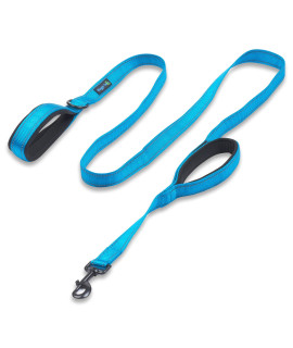Wagtime Club Soft &Thick Dual Handle 6FT Dog Leash, Premium Nylon Double Padded Handles for Medium, Large or XLarge Dog (Reflective Bright Blue)