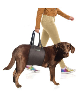 Labra Veterinarian Approved Dog Canine K9 Sling Lift with Adjustable Straps - Support Harness for Loss of Stability Caused by Joint Injuries and Arthritis, ACL Rehabilitation - Medium