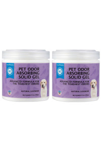 SMELLS BEGONE Pet Odor Absorber Gel - Air Freshener & Odor Eliminator - Made with Essential Oils - Lavender Scent - 15 Ounce - 2 Pack