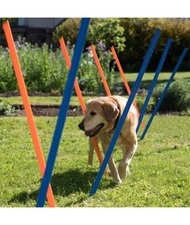 PAWISE Dog Training Exercise Equipment,Dog Agility Training Equipment,12pcs Weave Poles Playground Equipment Outdoor