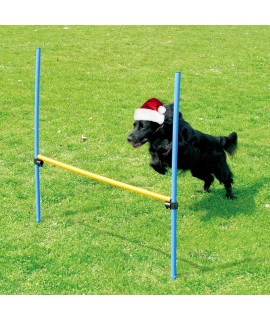 PAWISE Dog Training Exercise Equipment,Dog Agility Training Equipment,Dog Jump Hurdles Training Equipment,Playground Equipment Outdoor