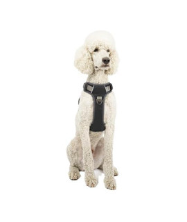 Embark Adventure Dog Harness, No Pull Dog Harness with 2 Leash clips, Dog Harness for Medium Dogs No Pull Front & Back with control Handle, Adjustable Black Dog Vest, Soft & Padded for comfort