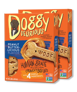 Wet Noses Doggy Delirious All Natural Dog Treats, Made in USA, 100% USDA Certified Organic, Non-GMO Project Verified, 14 Oz Box, Peanut-Butter Flavor, 2-Pack