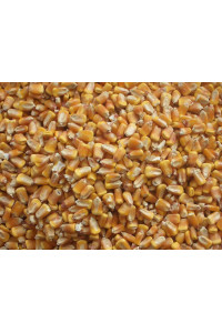 Bulk Whole corn for Wildlife Feeding (1, 10 Pounds)