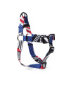 Wolfgang Premium No-Pull Dog Harness for Small Medium Large Dogs, Made in USA, PledgeAllegiance Print, Large (1 Inch x 20-30 Inch)