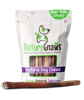 Nature Gnaws Bully Sticks for Large Dogs - Premium Natural Beef Dental Bones - Thick Long Lasting Dog Chew Treats for Aggressive Chewers - Rawhide Free , 5 Count (Pack of 1)