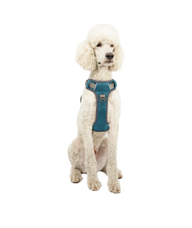 Embark Adventure Harness for Dogs, Easy On and Off with Front and Back Leash Attachment Points & control Handle - No Pull Training, Size Adjustable and No choke (Medium - Teal Blue)