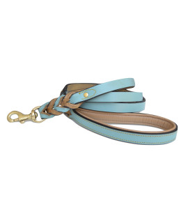 Soft Touch Collars Heavy Duty Leather Braided Dog Leash, 6 ft x 3/4 Inch, Turquoise with Beige Padded Handle