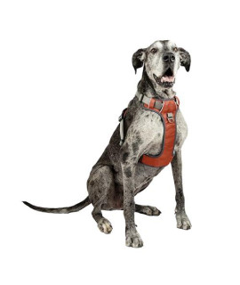 Embark Adventure XL Dog Harness No-Pull Dog Harnesses for Extra Large, Medium and Small Dogs 2 Leash clips, Front & Back with control Handle, Adjustable Orange Dog Vest, Soft & Padded for comfort