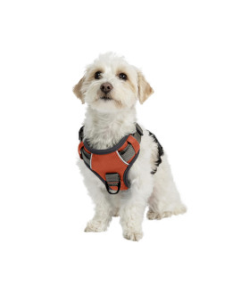 Embark Adventure Dog Harness No-Pull Dog Harness for Small Dogs, Medium & Large 2 Leash clips, Front & Back with control Handle, Adjustable Orange Dog Vest for Any Breed, Soft & Padded for comfort