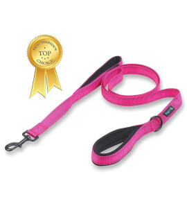 Wagtime Club Soft &Thick Dual Handle Dog Leash, Premium Nylon Double Padded Handles for Medium, Large or XLarge Dog Classic Comfort (Reflective Lively Pink)