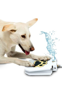 Dog Outdoor Fountain Step On, Paw Activated Drinking Pet Dispenser, Provides Fresh Water, Sturdy, Easy to Use by Trio Gato