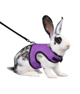 Niteangel Adjustable Soft Harness with Elastic Leash for Rabbits (XL, Purple)