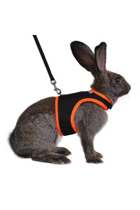 Niteangel Adjustable Soft Harness with Elastic Leash for Rabbits (S, Black)