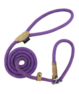 Grand Line Slip Lead Dog Leash, 5FT Reflective Slip Rope, Puppy Training Walking Controlling Lead, Slip Collar Pet Leash for Small, Medium, Large Dogs (Purple, Large-3/5in x 5ft)