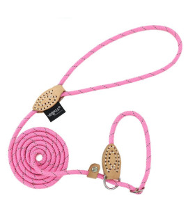 Grand Line Slip Lead Dog Leash, 5FT Reflective Slip Rope, Puppy Training Walking Controlling Lead, Slip Collar Pet Leash for Small, Medium, Large Dogs (Pink, Small-1/4in x 5ft)