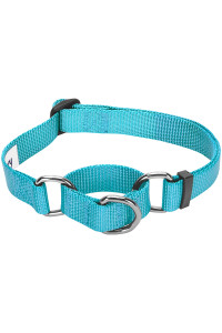Blueberry Pet Essentials Martingale Safety Training Dog Collar, Turquoise, Medium, Heavy Duty Nylon Adjustable Collars for Dogs