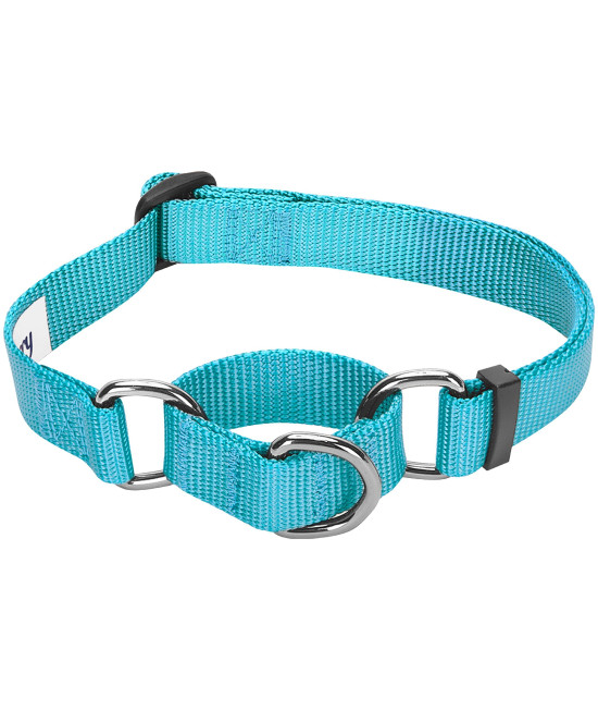 Blueberry Pet Essentials Martingale Safety Training Dog Collar, Turquoise, Medium, Heavy Duty Nylon Adjustable Collars for Dogs