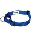 Blueberry Pet Essentials Safety Training Martingale Dog Collar, Royal Blue, Medium, Heavy Duty Nylon Adjustable Collars for Boy and Girl Dogs