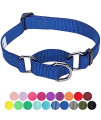 Blueberry Pet Essentials Safety Training Martingale Dog Collar, Royal Blue, Medium, Heavy Duty Nylon Adjustable Collars for Boy and Girl Dogs