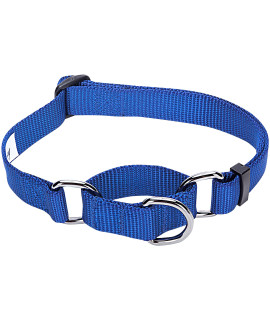 Blueberry Pet Essentials Martingale Safety Training Dog Collar, Royal Blue, Small, Heavy Duty Nylon Adjustable Collars for Dogs