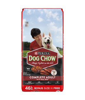 Purina Dog Chow Dry Dog Food, Complete Adult With Real Beef - 46 lb. Bag