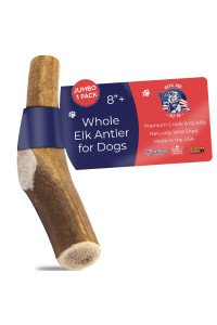 Devil Dog Pet Co Antler Dog Chew - Premium Elk Antlers for Dogs - Long Lasting Dog Bones for Aggressive Chewers - No Mess No Odor - Wild Shed in The USA - Veteran Owned (Jumbo)